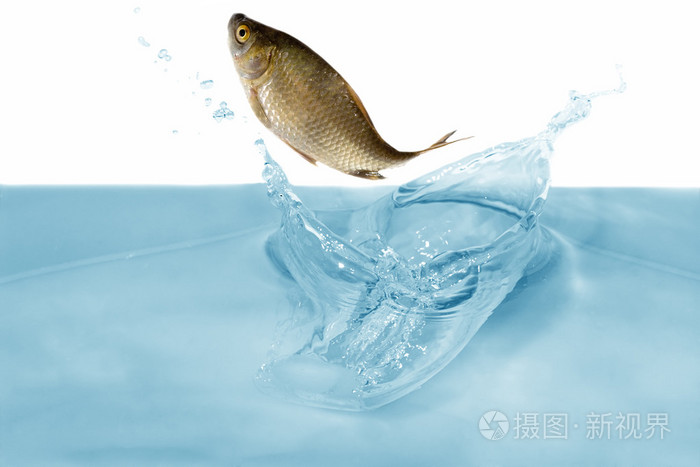 韩国新婚夫妻性生活视频,亚州黄色网址,视频二区